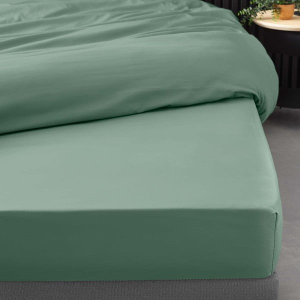 Cearceaf verde din bumbac percal cu elastic 90x190 cm Percaline – douceur d'intérieur-image-1