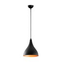 Lustră neagră cu abajur din metal ø 22 cm Sağlam – Opviq lights