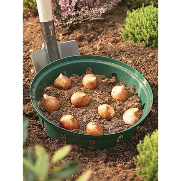 Pat ridicat de plante – Garden Pleasure-image-1