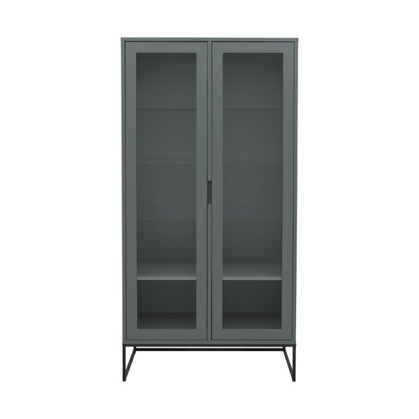 Vitrină gri-verde 90x178 cm Lipp - Tenzo