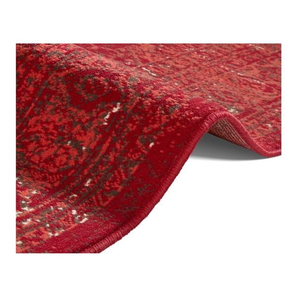 Covor Hanse Home Celebration Plume, 80x150 cm, roșu-image-2