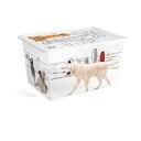 Cutie de depozitare albă din plastic cu capac 55x39x31 cm C Box Style – KIS