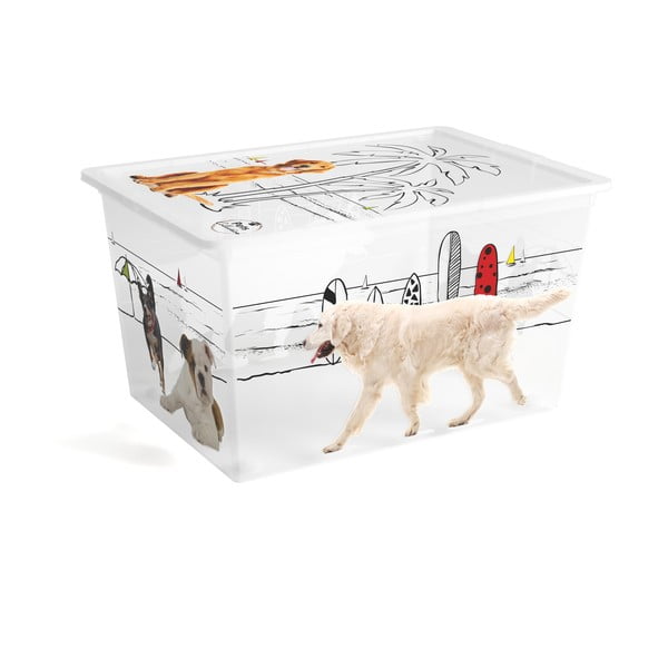 Cutie de depozitare albă din plastic cu capac 55x39x31 cm C Box Style – KIS