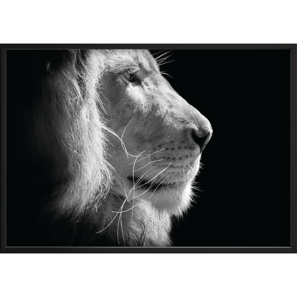 Poster DecoKing Lion King, 70 x 50 cm, negru - alb