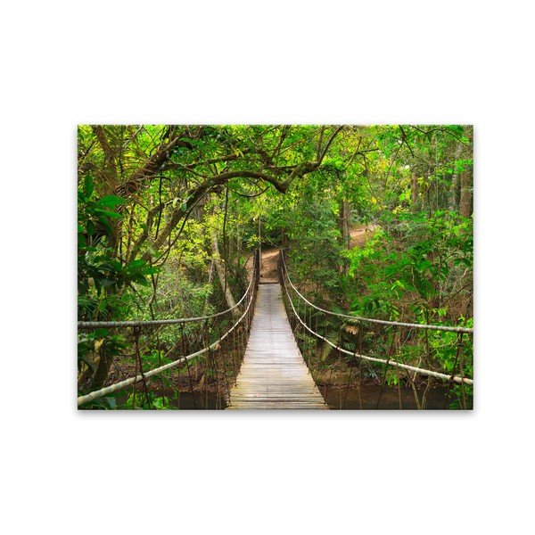 Tablou Styler Glas Nature Forest Bridge, 80 x 120 cm