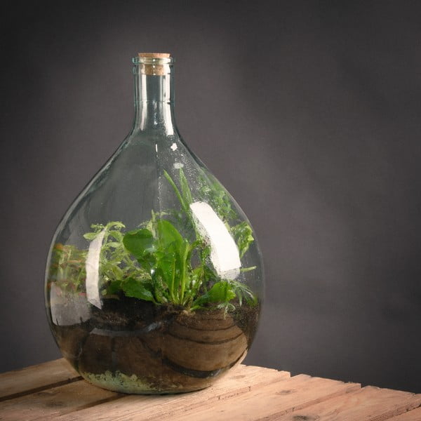 Terariu din sticlă și ustensile pentru cultivat Esschert Design, 15 l-image-1