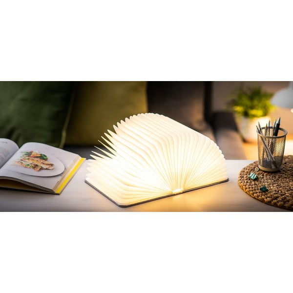 Decorațiune luminoasă gri cu USB Booklight – Gingko-image-1