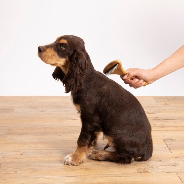 Perie pentru animale – Love Story-image-1