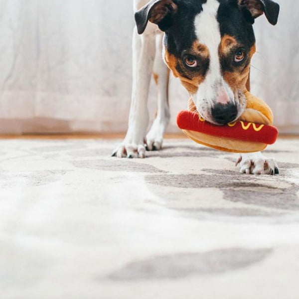 Jucărie pentru câine Hot Dog – P.L.A.Y.-image-3