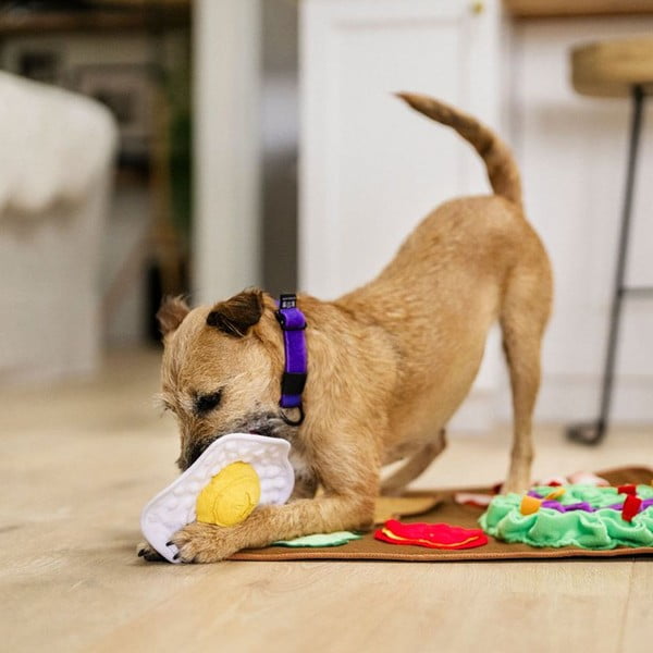 Covoraș interactiv Brunch – P.L.A.Y.-image-1