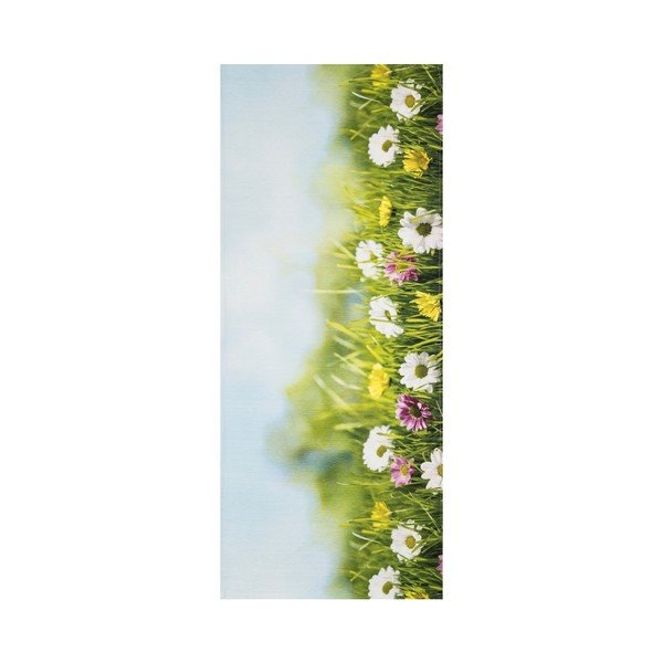 Covor foarte rezistent Webtappeti Campo, 58 x 140 cm-image-1