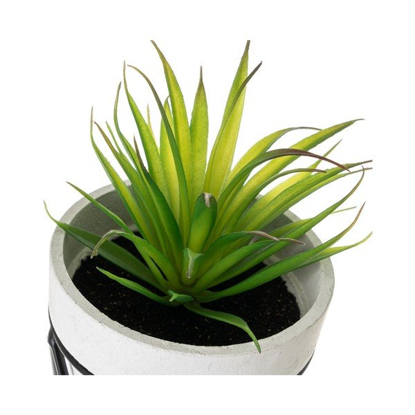 Plante artificiale 4 buc. – Casa Selección-image-4