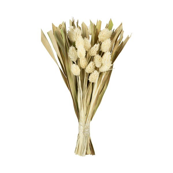Plantă artificială Phalaris – Sema