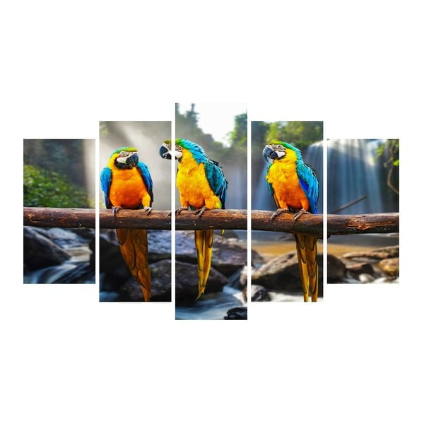 Tablou din mai multe piese pe pânză Animal Parrots