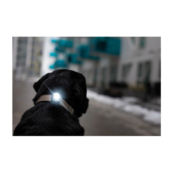 Lanternă LED pentru zgardă Dark – Orbiloc-image-4