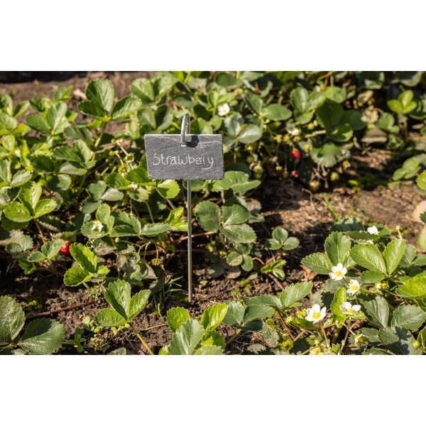 Etichetă din ardezie pentru plante Esschert Design-image-3