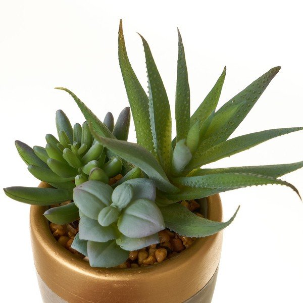 Plante artificiale 4 buc. (înălțime 17 cm) Cactus – Casa Selección-image-3