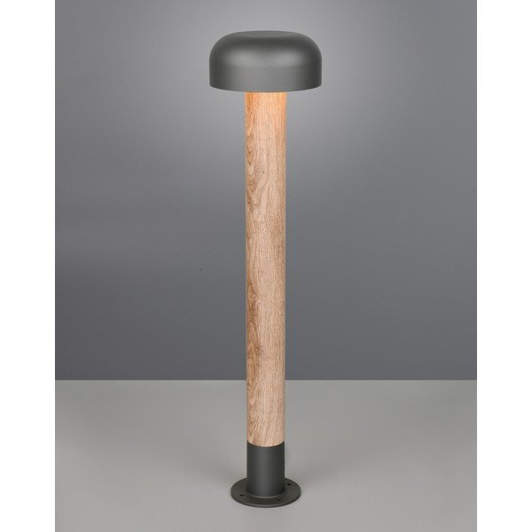 Corp de iluminat pentru exterior cu stâlp de fixare ø 19 cm Fraser – Trio-image-1