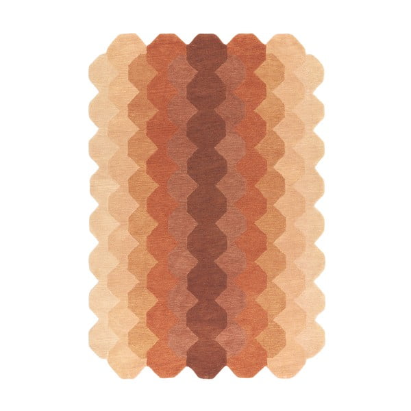 Covor cărămiziu din lână 160x230 cm Hive – Asiatic Carpets