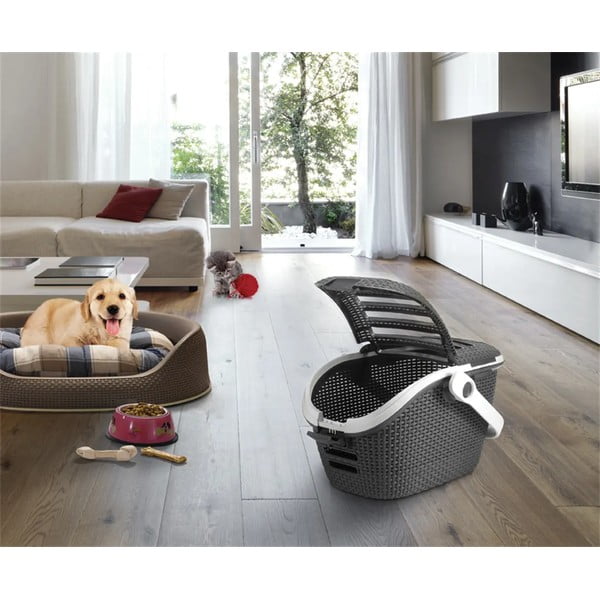 Cutie de transport pentru animale Curver Vintage, gri închis-image-1