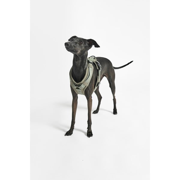 Ham verde L lungime 42 cm Modena Grolive L – MiaCara-image-4