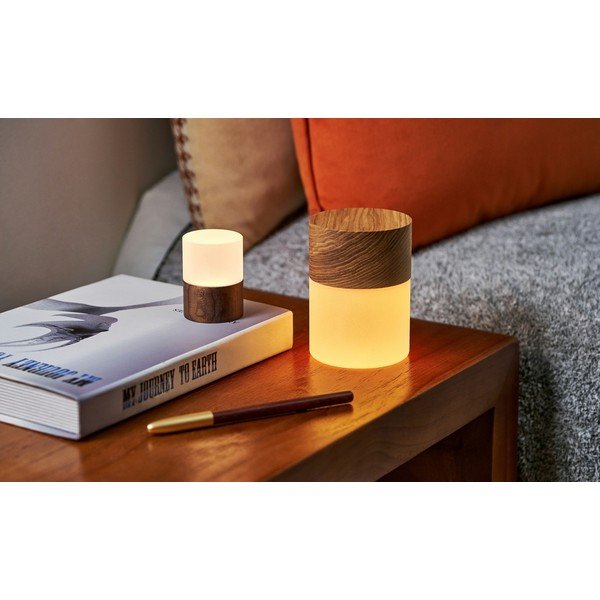 Decorațiune luminoasă în culoare naturală cu USB ø 4,5 cm Lemelia – Gingko-image-3