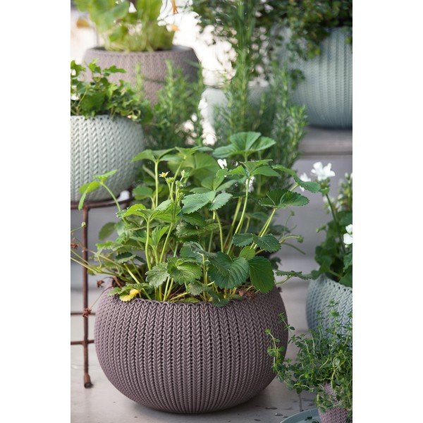 Ghiveci din plastic suspendat și de perete ø 36 cm Cozy – Keter-image-1