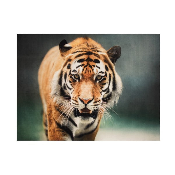 Covor Hanse Home Tiger, 190 x 140 cm