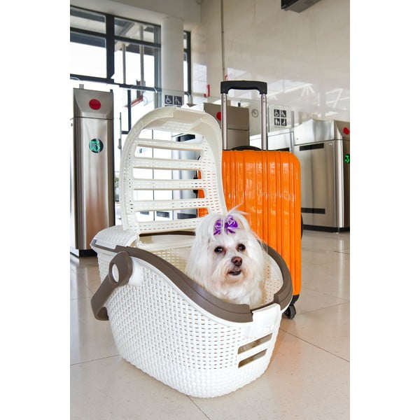 Cutie de transport pentru animale Curver Vintage, alb-image-1