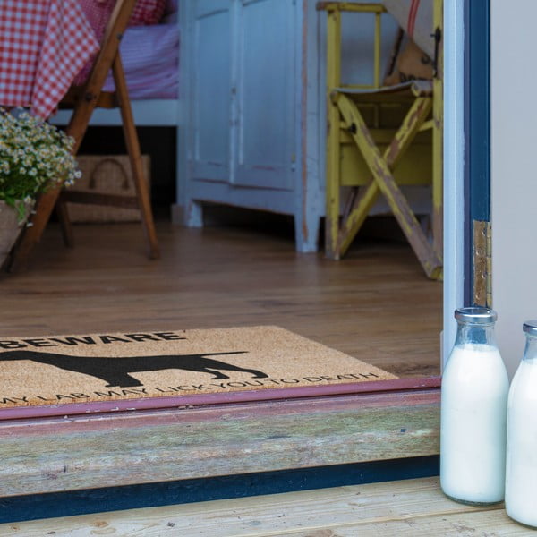 Covoraș de intrare din fibre de nucă de cocos 40x60 cm Labrador – Artsy Doormats-image-4