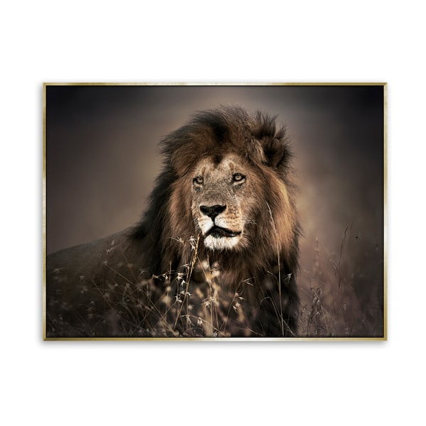 Tablou imprimat pe pânză Styler Golden Lion, 62 x 82 cm