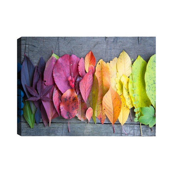 Tablou Tablo Center Autumn Palette, 100 x 70 cm