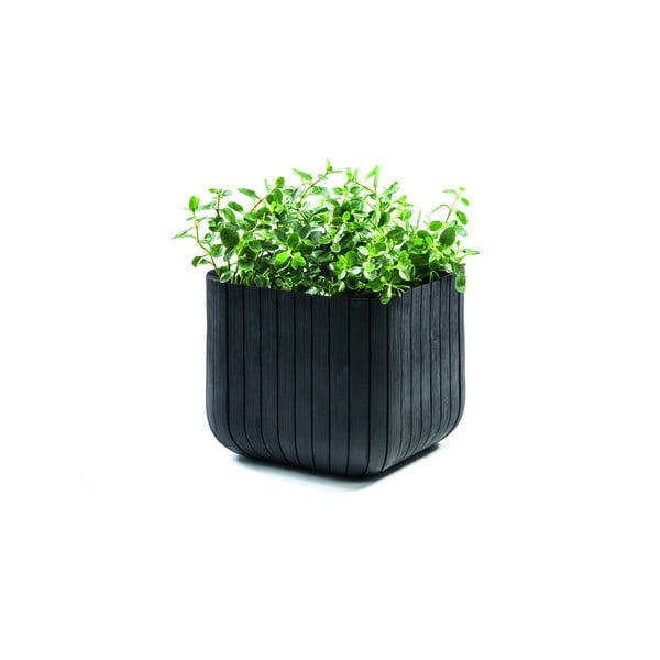 Ghiveci din plastic Cube – Keter-image-2