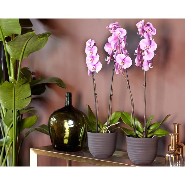 Ghiveci din plastic reciclat ø 20 cm Havana – Artevasi-image-2