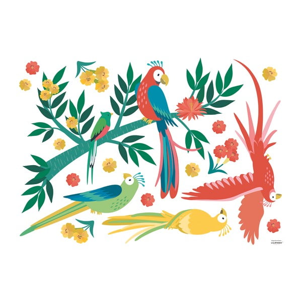 Folie cu stickere 90x64 cm Parrots – Lilipinso