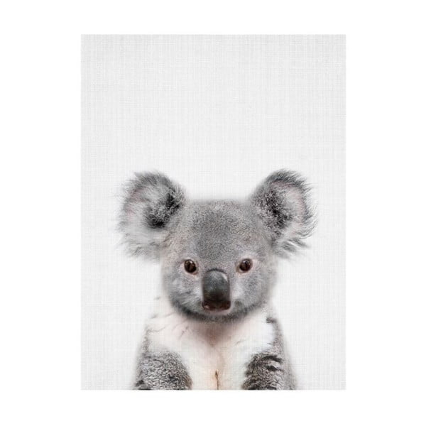 Poster Blue-Shaker Baby Animals Koala, 30 x 40 cm