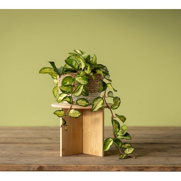 Suport pentru flori din bambus ø 25 cm (înălțime 19,5 cm) – Esschert Design-image-1
