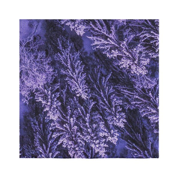 Covor Oyo home Suzzo Flower, 140 x 220 cm, mov-image-3