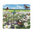Protecție pentru peretele de la aragaz din sticlă temperată 50x56 cm – Maximex