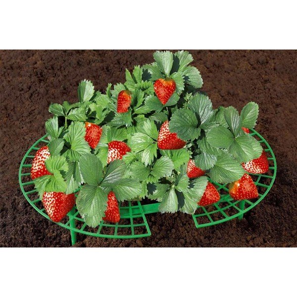 Suporturi pentru plante 5 buc. – Maximex-image-1
