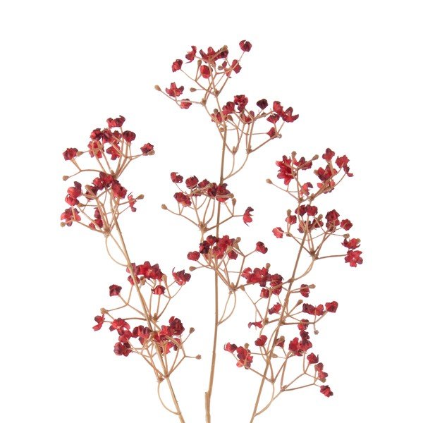 Plantă artificială (înălțime 59 cm) Babybreath – PT LIVING-image-1