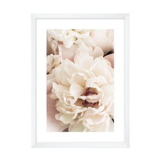 Poster 50x70 cm Flower - knor
