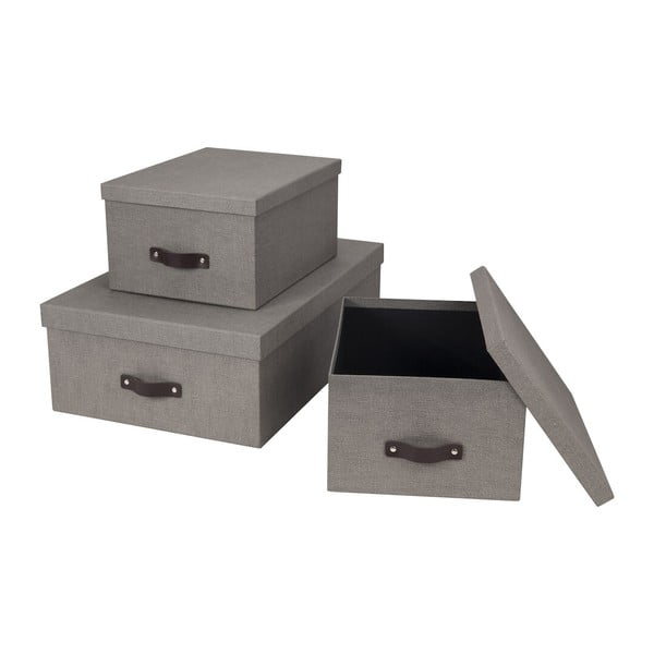 Cutii de depozitare 3 buc. cu capac Inge – Bigso Box of Sweden-image-3