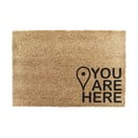 Covoraș de intrare din fibre de nucă de cocos 40x60 cm You Are Here – Artsy Doormats