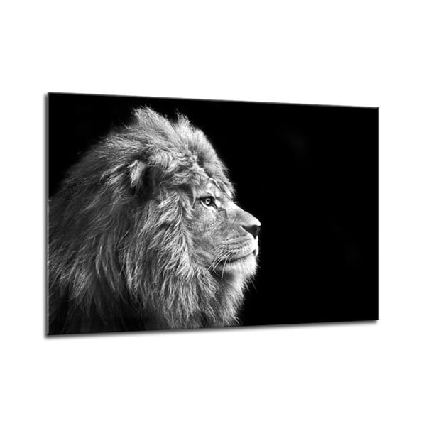 Tablou Styler Glasspik Canvas Animals Lion, 70 x 100 cm