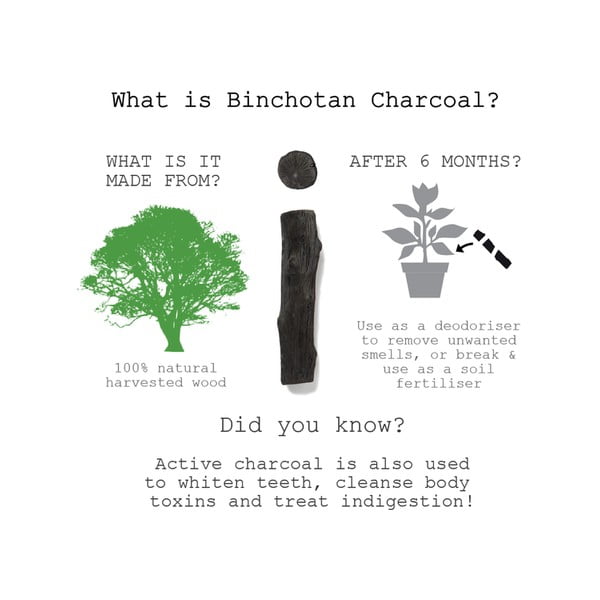 Cărbune binchotan Black + Blum Eau Good, 1 buc.-image-1