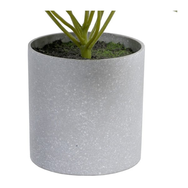 Plantă artificială (înălțime 21 cm) Syngonium – Ixia-image-1