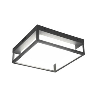 Corp de iluminat pentru exterior LED de perete (înălțime 10 cm) Witham – Trio