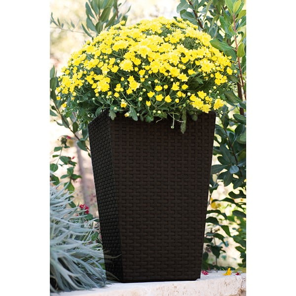 Ghiveci decorativ din plastic Rattan – Keter-image-1