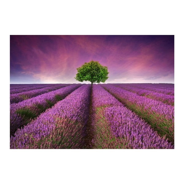 Covoraș din vinilin Lavender Field, 52 x 75 cm